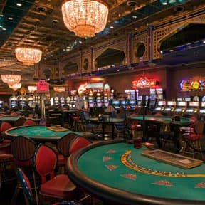 Sports and casino-style sections in the bd 7 mobile app for adult users